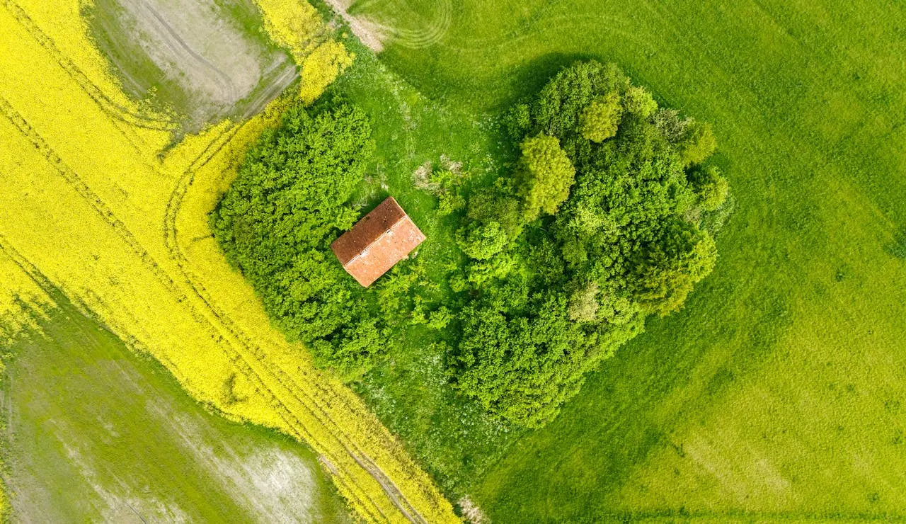 Gospodarstwo agroturystyczne na tle zielonych łąk i uprawnych pól.