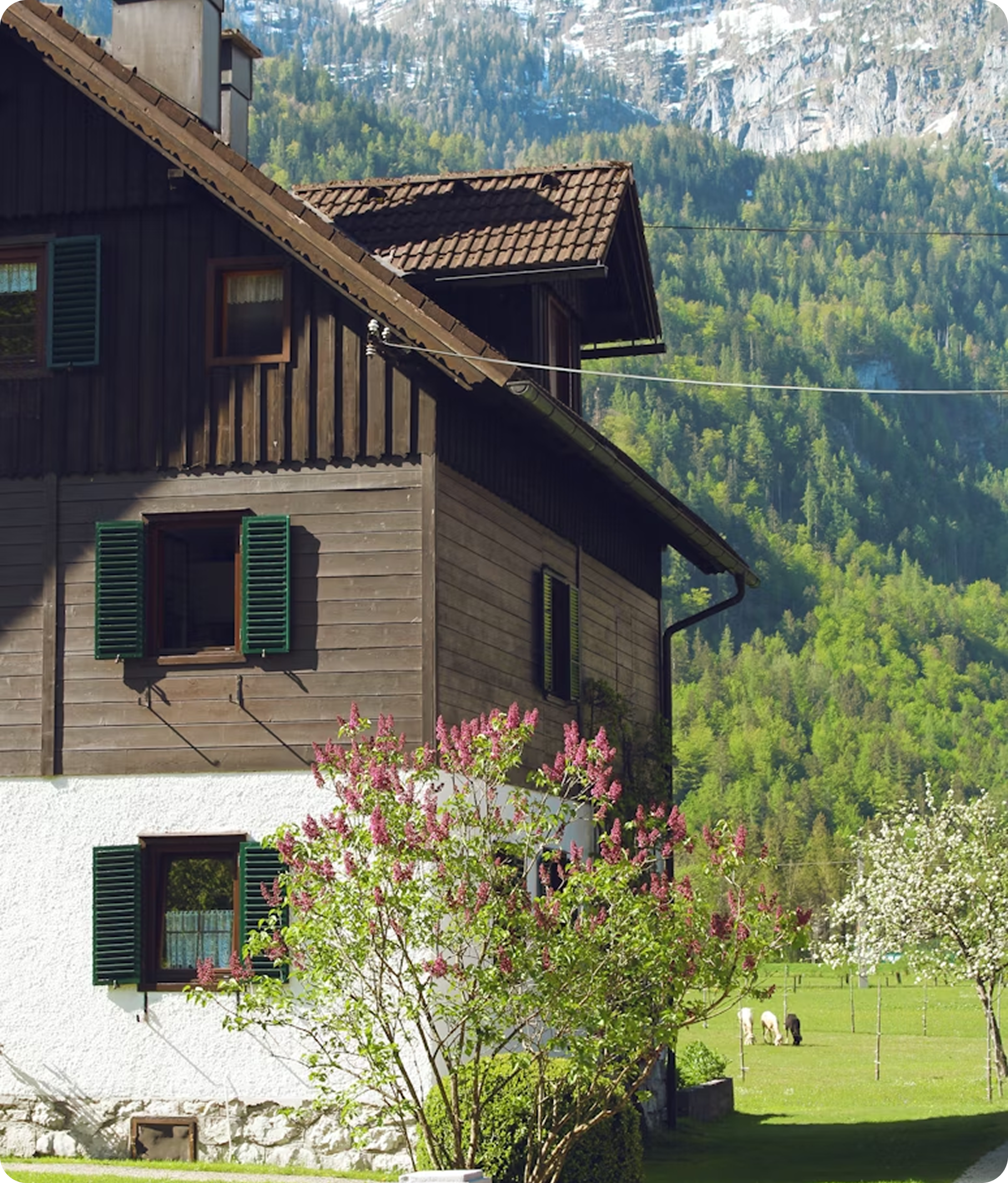 Casa tradicional rodeada de vegetación - un programa sencillo para gestionar reservas en agroturismo.