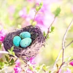 Wielkanoc 2026 w wynajmie krótkow